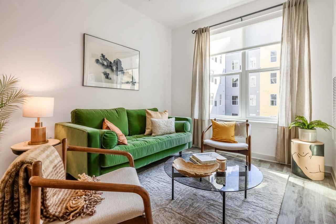 Stella - Photo 2 of 50