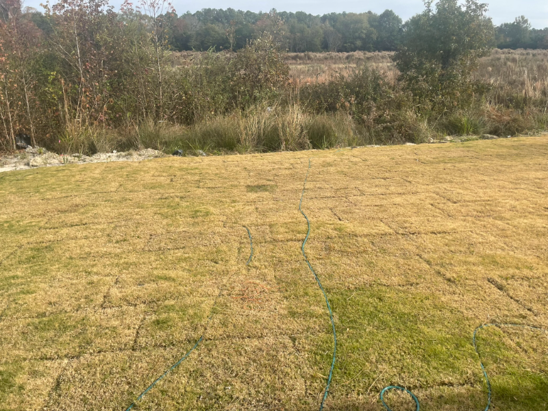 256 Blue Valley Ct - Photo 5 of 20