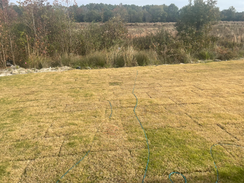 256 Blue Valley Ct - Photo 6 of 20