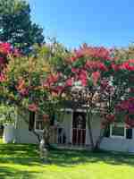 featured image of 900 Crazy Horse