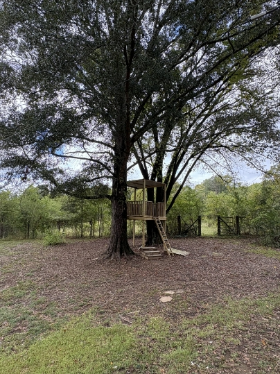 188 Countrywood Cv - Photo 5 of 8