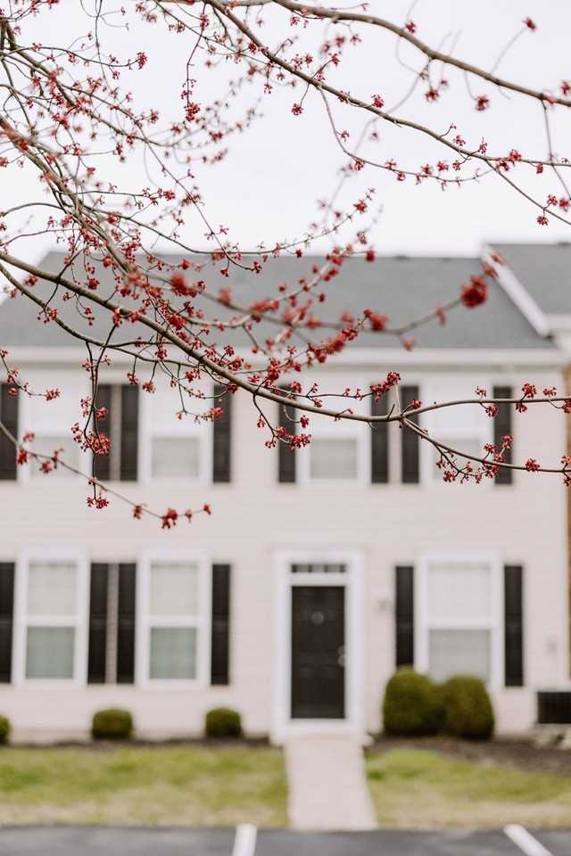 Sunbury Commons - Photo 6 of 43