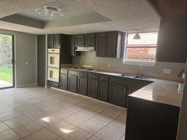 10106 Prairie Mist St #10106 - Photo 5 of 20