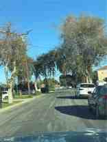 11111 Wildflower Rd - Photo 1 of 1