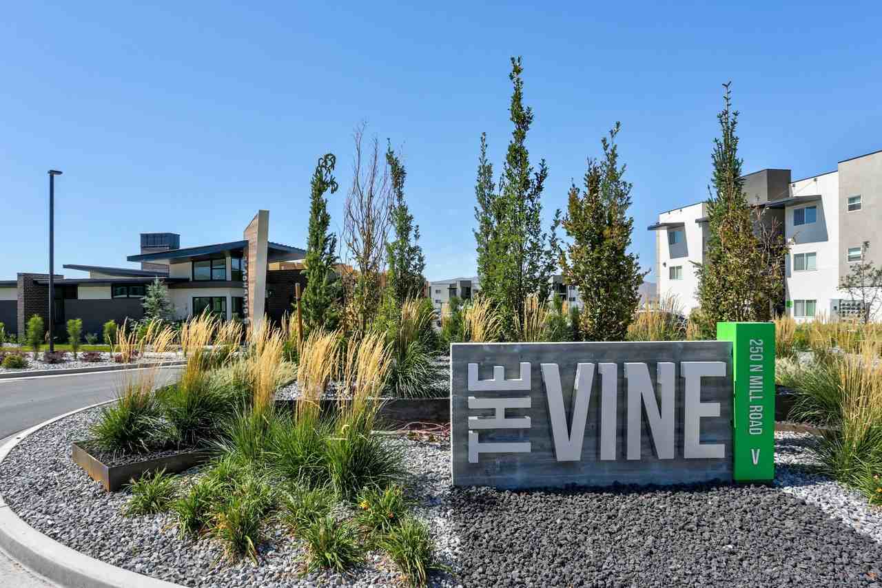 Vine Bldg 10: Unit 211 Type 2: Standard - Photo 2 of 15