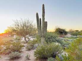 19838 N 84th St - Photo 1 of 1