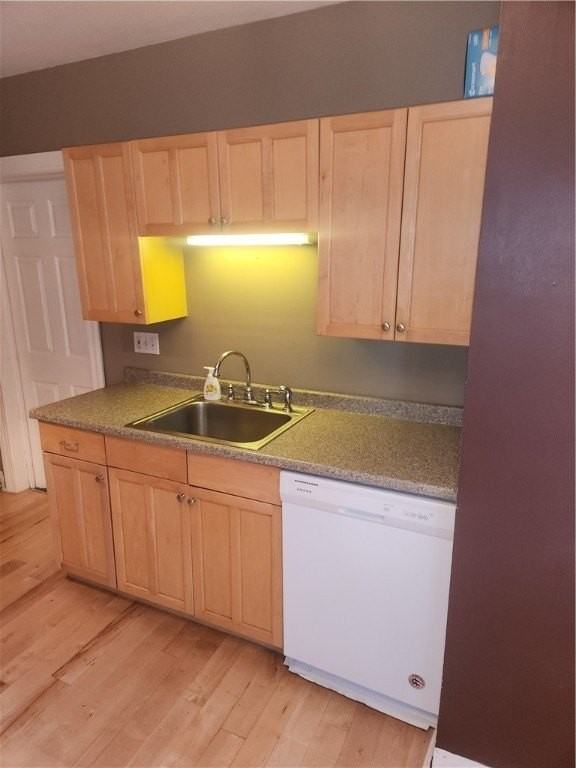 57 Rowley Street unit: Lower - Photo 6 of 25