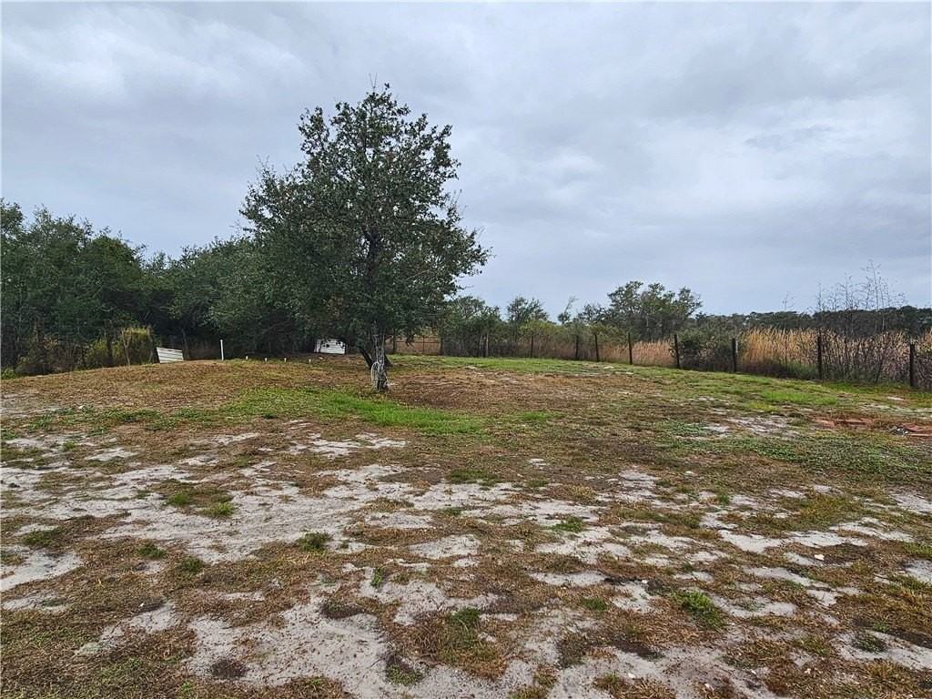 951 Jacoby Ln - Photo 6 of 22