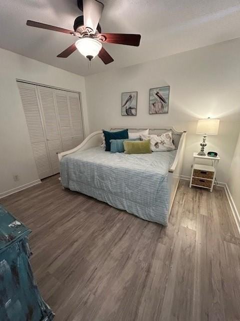 Brockinton Marsh - Photo 7 of 12