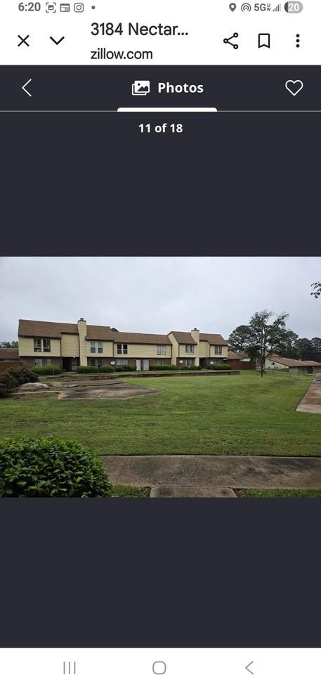 Nectarine Cir - Photo 4 of 12