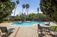 6226 Shelter Creek Ln - Photo 1 of 1