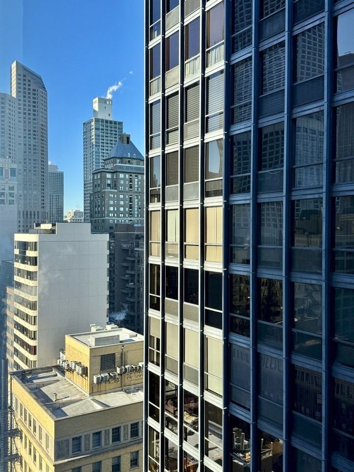 900 N Lake Shore Dr Apt 2405 #2405 - Photo 3 of 49