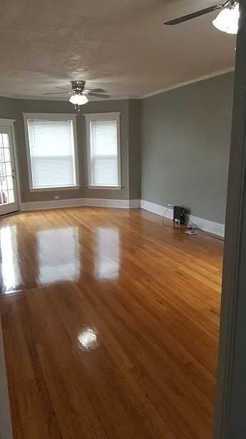 7930 S Green St Unit 2 #2 - Photo 5 of 6