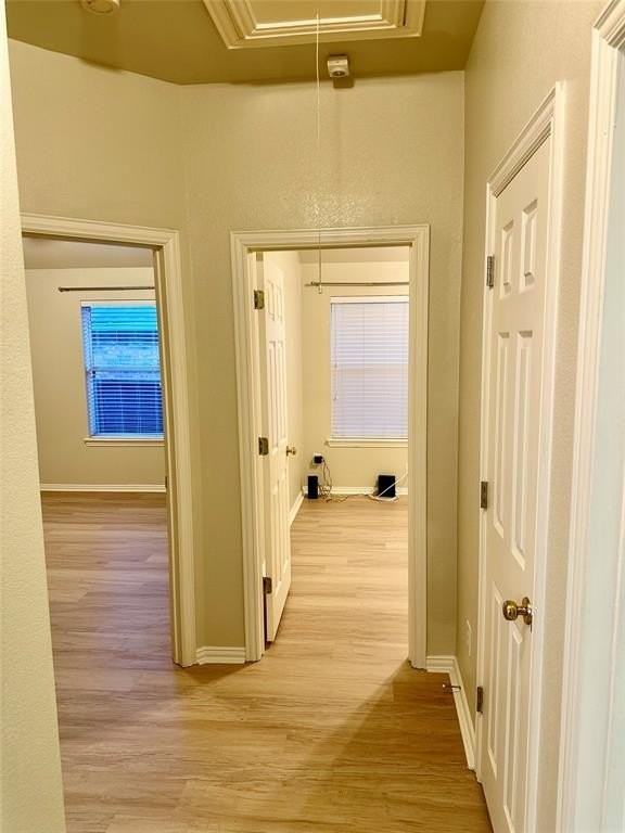 8308 Clear Bay - Photo 4 of 17