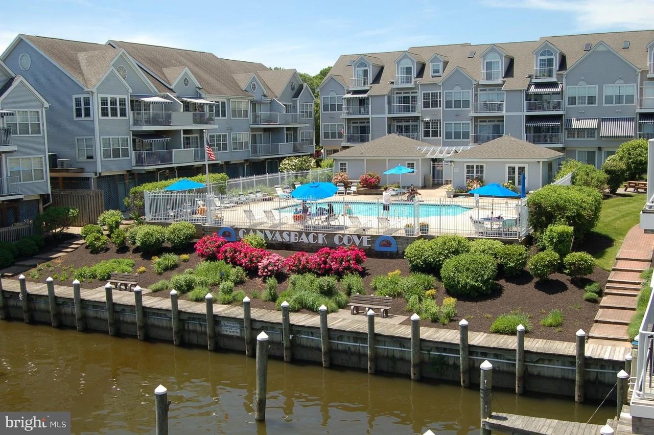 421 Concord St Apt D - Photo 7 of 50