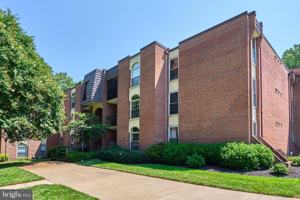 featured image of 8302 Tobin Rd Apt 11 #11
