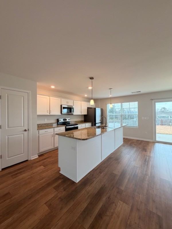 501 Cricket Chirp Ln - Photo 7 of 29