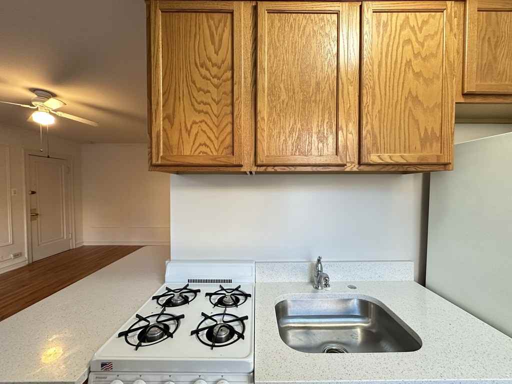 4531 N Ashland Ave #111 - Photo 7 of 21