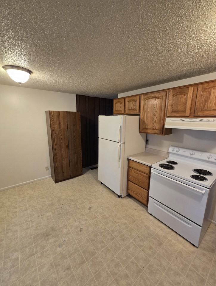 875 Sapphire Dr - Photo 4 of 9