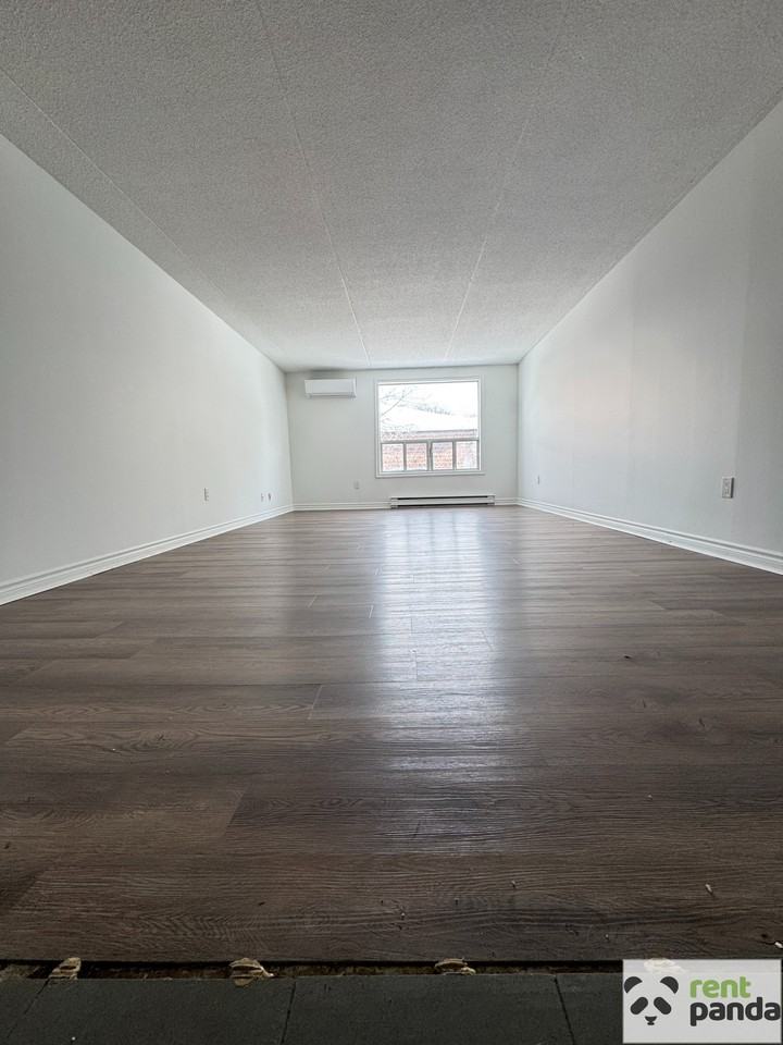 56 Donald St #204 - Photo 2 of 11