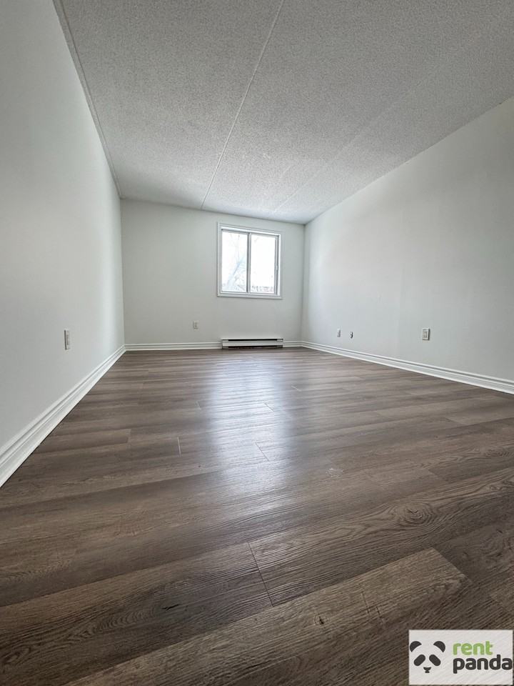 56 Donald St #204 - Photo 3 of 11