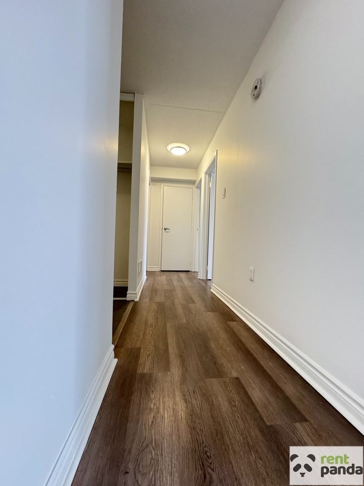 56 Donald St #204 - Photo 6 of 11