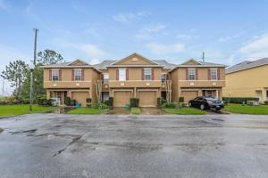 featured image of 4494 Maidenhair Cv