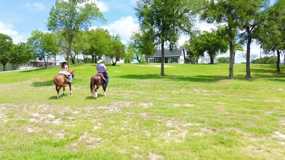 400 Timber Wild Dr - Photo 1 of 1