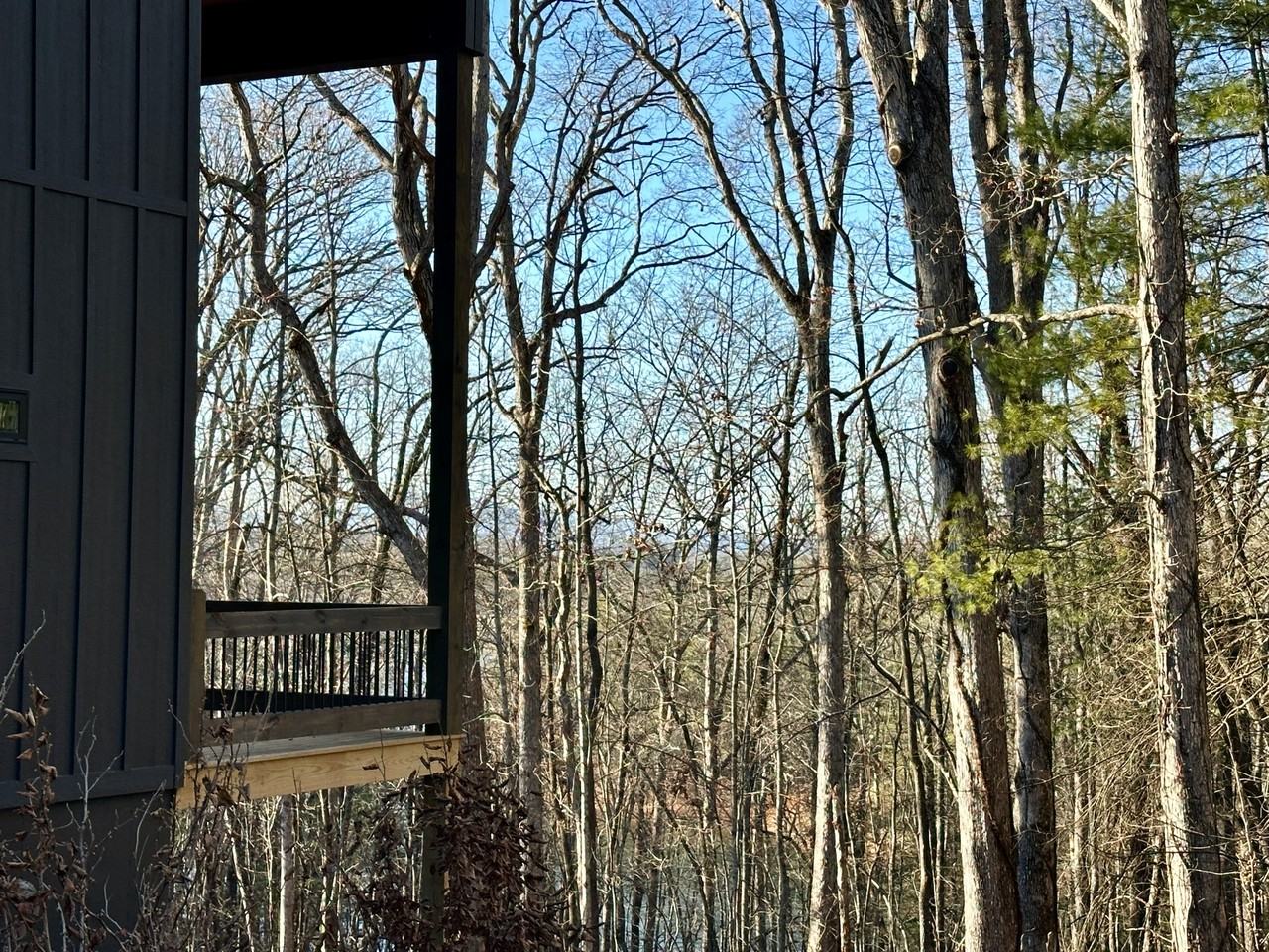 660 Old Toccoa Rd #1 - Photo 4 of 13