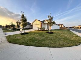 featured image of 5041 Pitch Mark