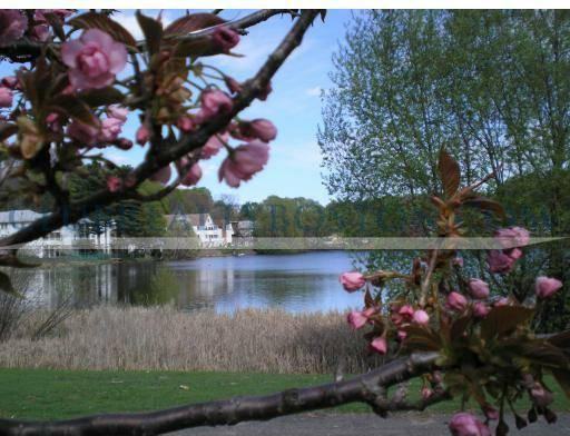 144 Kenrick St #23 - Photo 5 of 15