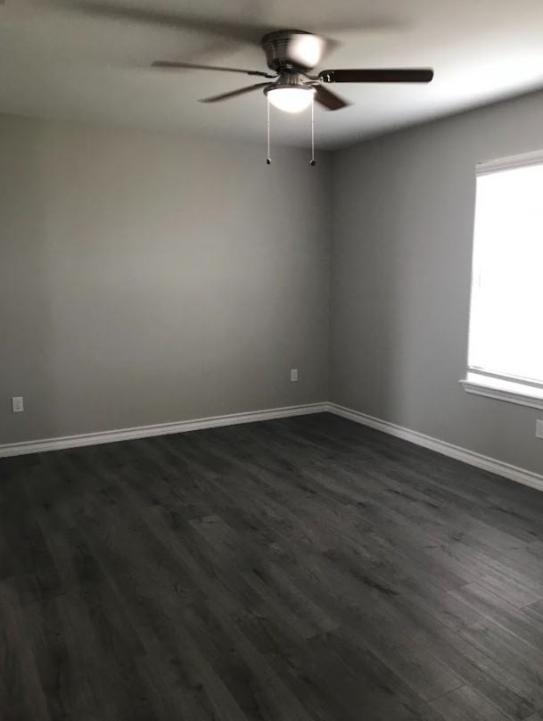 117 Olive St #117AOLIVE - Photo 5 of 14