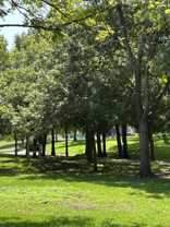 1505 E Interstate 30 #317 - Photo 1 of 1