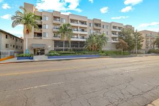 Regency Palm Court - Photo 1 of 1