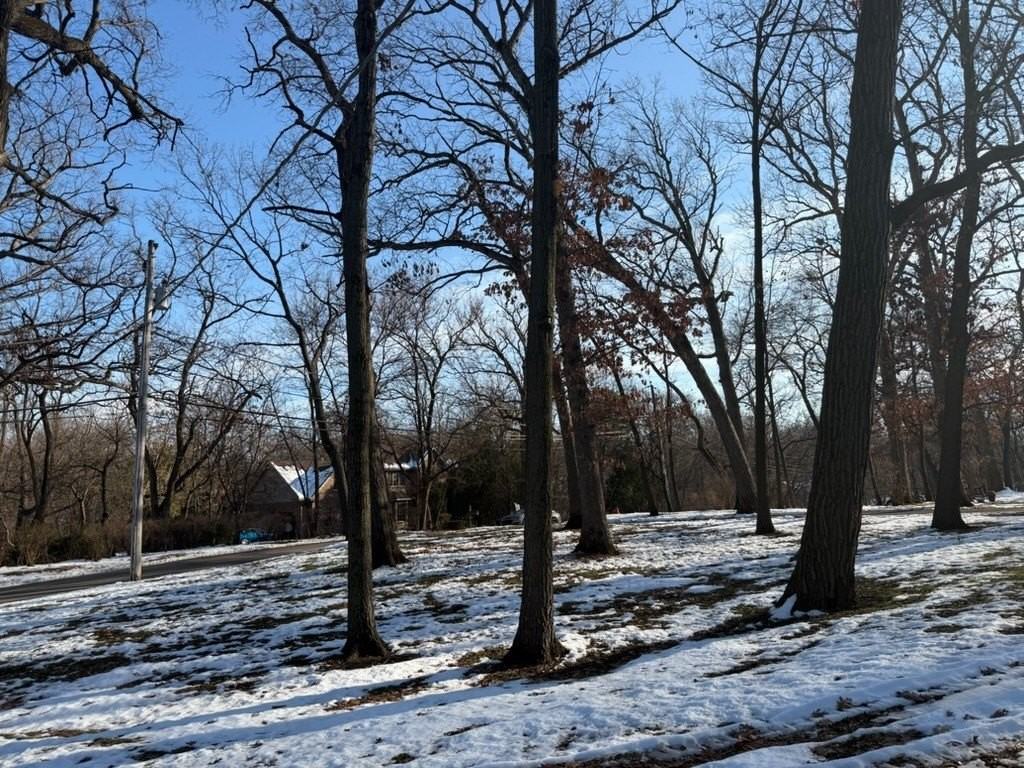 12316 S 82nd Ave - Photo 2 of 14