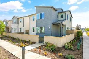 featured image of 273 Shoveler