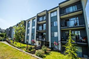 featured image of 3193 Barons Rd