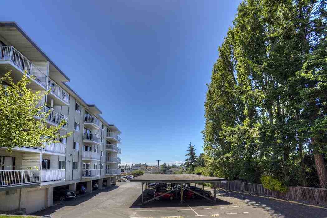Olympic View Terrace - Photo 6 of 23