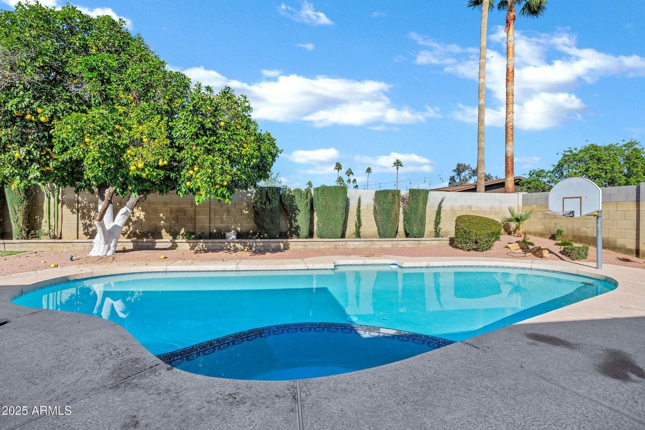 8558 E Via De Viva - Photo 3 of 36