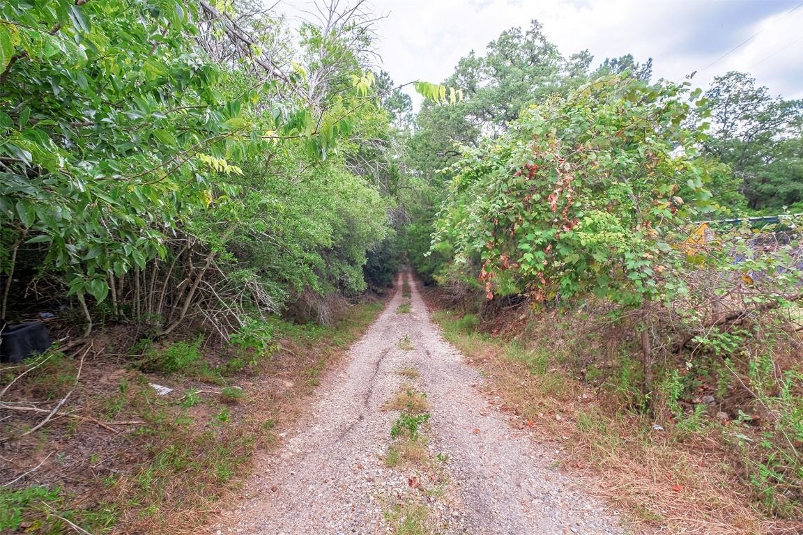 143 Old Piney Trl #143B - Photo 2 of 22