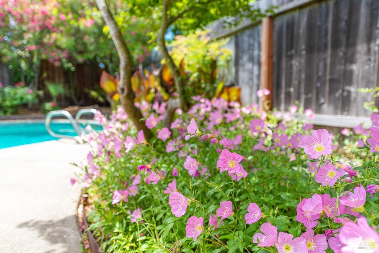 2454 Dunaway Dr #2454 - Photo 7 of 17