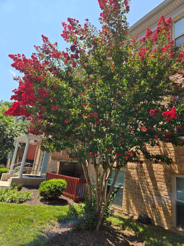 6 Banyan Wood Ct #301 - Photo 2 of 19