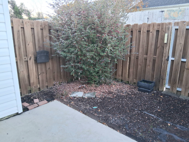 1731 Elizabeth St - Photo 4 of 20