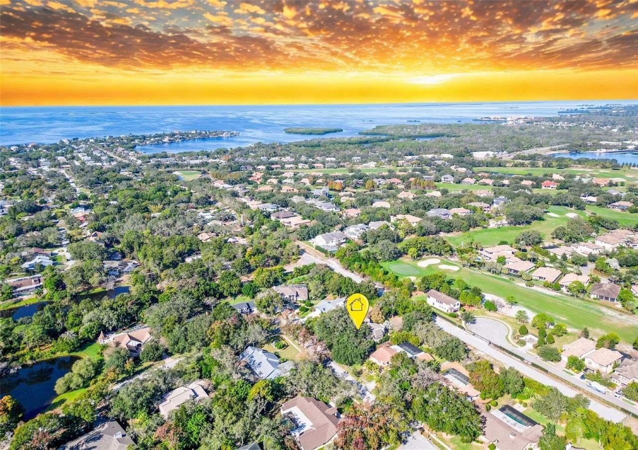 1351 Willow Brook Dr - Photo 6 of 50