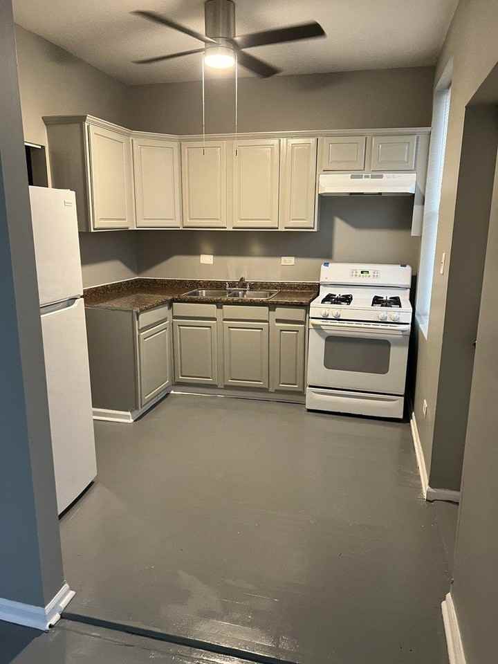 8914 S Cottage Grove Ave Apt 2 #2 - Photo 5 of 7