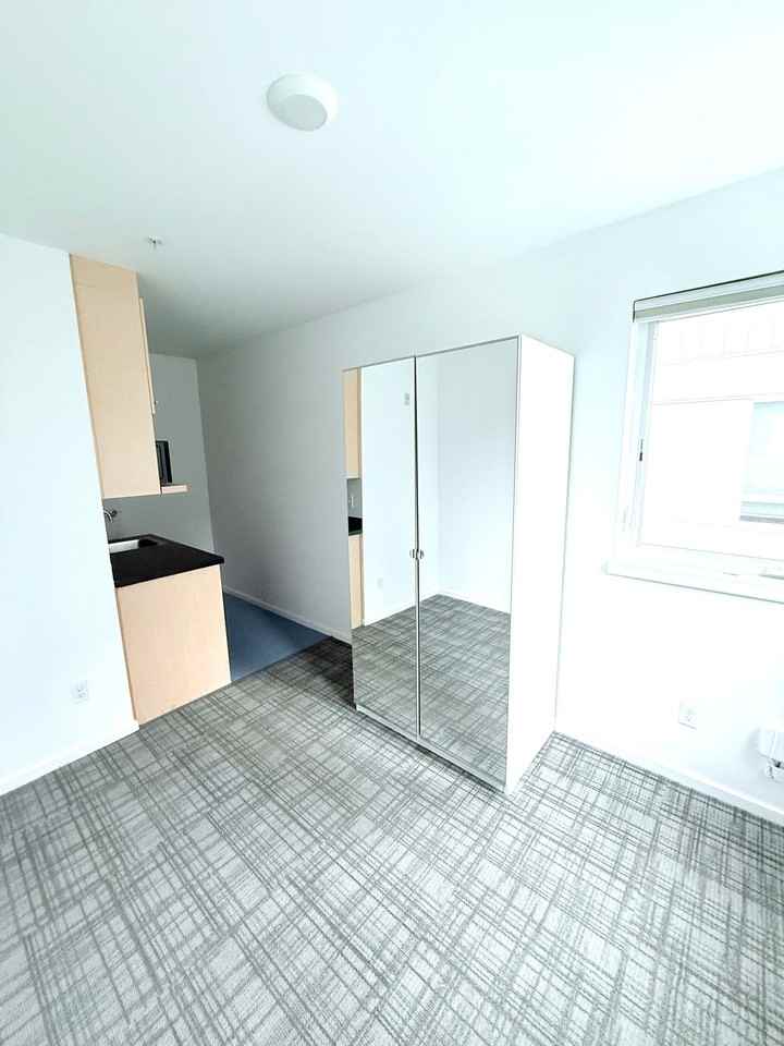 Cozy & Modern Studios Located in the Heart of Ballard - Photo 2 of 22