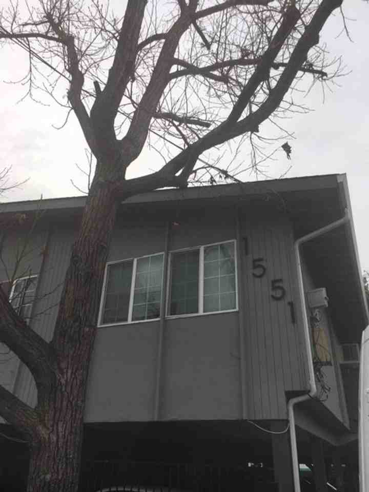 1125 1125 Lacey Lane - 1125 Lacey Ln #4 - Photo 4 of 23