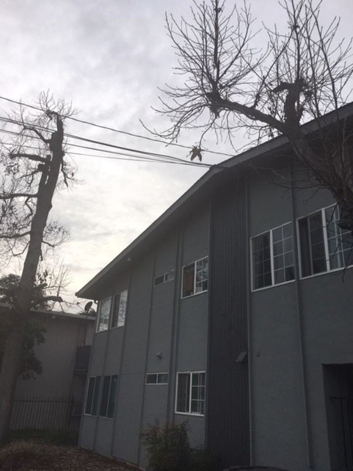 1125 1125 Lacey Lane - 1125 Lacey Ln #4 - Photo 5 of 23