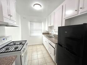 LB2051 (RUBS) - Photo 1 of 1