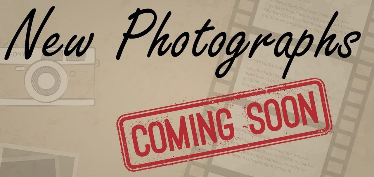 1505 E Ridgeview Dr - Photo 3 of 3